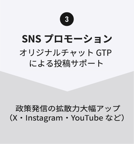 SNS プロモーション